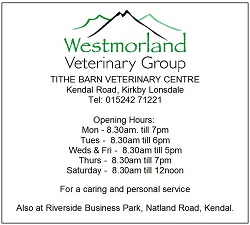 Westmorland Veterinary Group