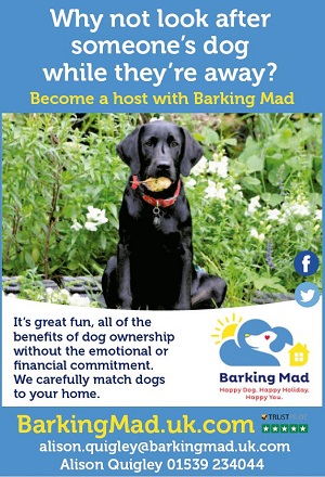 Barking Mad