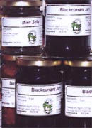 Sues Jams